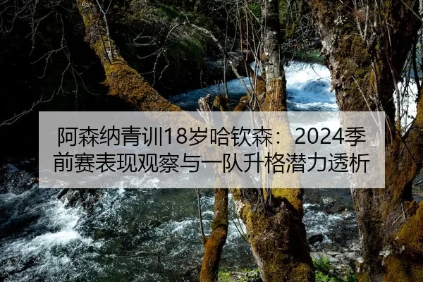 阿森纳青训18岁哈钦森：2024季前赛表现观察与一队升格潜力透析