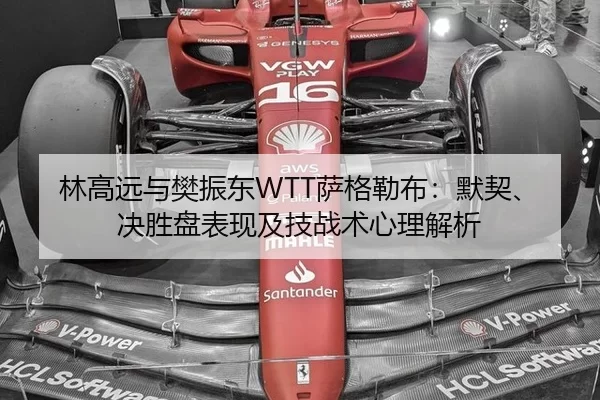 林高远与樊振东WTT萨格勒布：默契、决胜盘表现及技战术心理解析